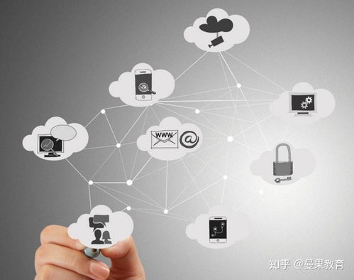 2020年淘宝卖家运营规划与信息安全软件开发策略